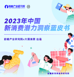 2023年中国新消费潜力洞察蓝皮书